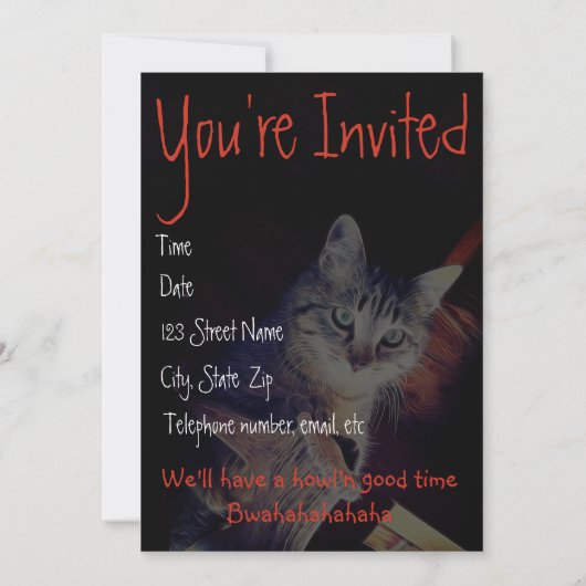 子猫アロークローズアップ写真招待状 招待状 (裏面)