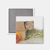 子猫インサイド買い物袋 マグネット (正面/裏面)