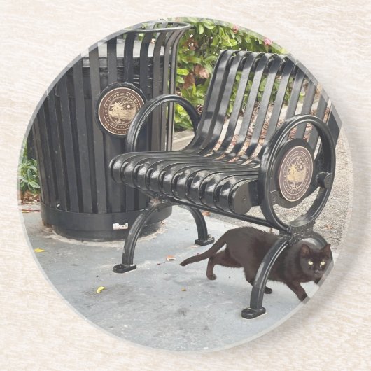 子猫インザパーク コースター (正面)