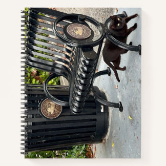 子猫インザパーク ノートブック