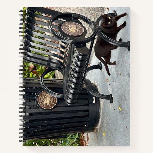 子猫インザパーク ノートブック (正面)