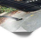 子猫インザパーク フォトプリント            (角)