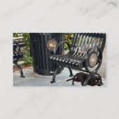 子猫インザパーク 名刺 (裏面)