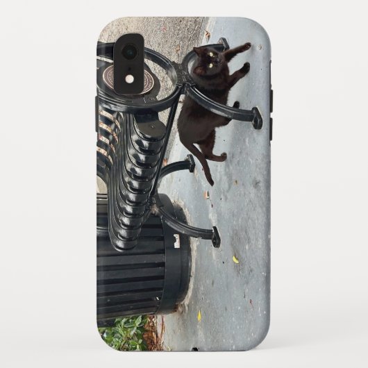 子猫インザパーク Case-Mate iPhoneケース (裏面)