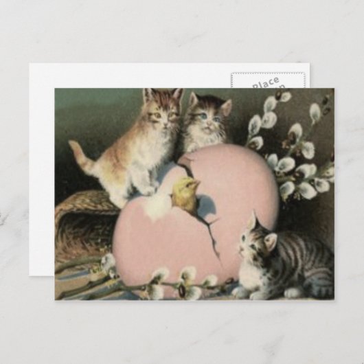子猫イースターシックカラー色彩の鮮やか卵 シーズンポストカード (正面/裏面)