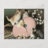 子猫イースターシックカラー色彩の鮮やか卵 シーズンポストカード (正面)