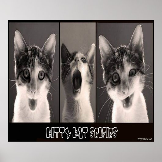 子猫カットセルフィーズのポスター ポスター (正面)