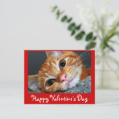 子猫カート シーズンポストカード (スタンド正面)