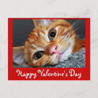 子猫カート シーズンポストカード