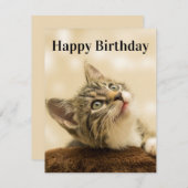 子猫カード 編集タイトル シーズンカード (正面/裏面)