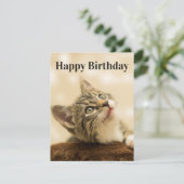 子猫カード 編集 タイトル シーズンカード (スタンド正面)