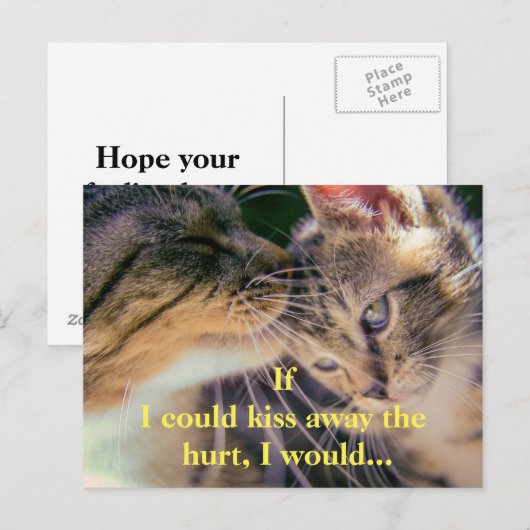 子猫キス元気 ポストカード (正面/裏面)