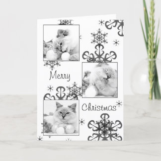 子猫クリスマスカード シーズンカード