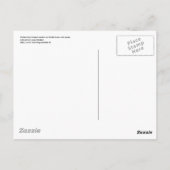 子猫クローズアップはがき ポストカード (裏面)