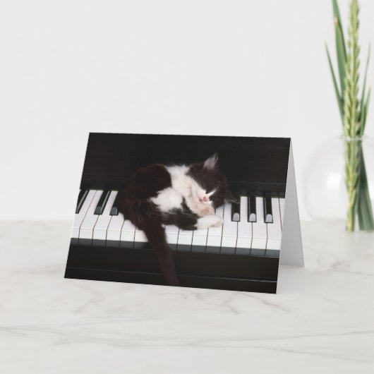 子猫グリーティングカード カード (正面)