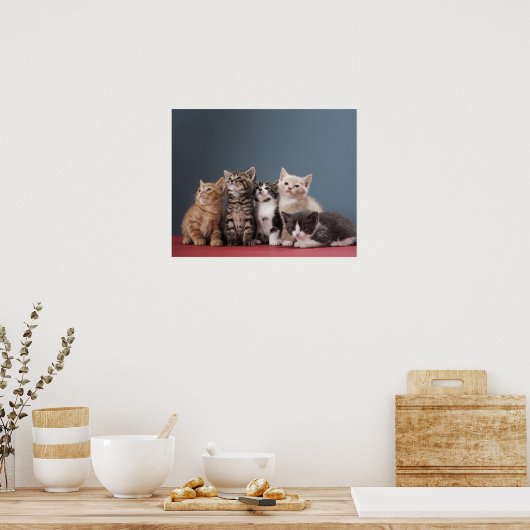 子猫グループ ポスター (キッチン)