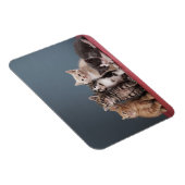 子猫グループ マグネット (右側)