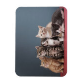 子猫グループ マグネット (縦)