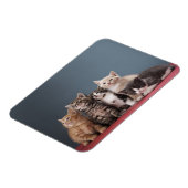 子猫グループ マグネット (左側)