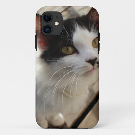 子猫ケース Case-Mate iPhoneケース (裏面)