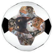 子猫コラージュ サッカーボール (回転)