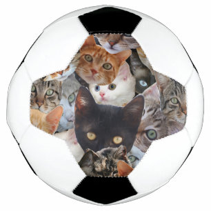 子猫コラージュ サッカーボール