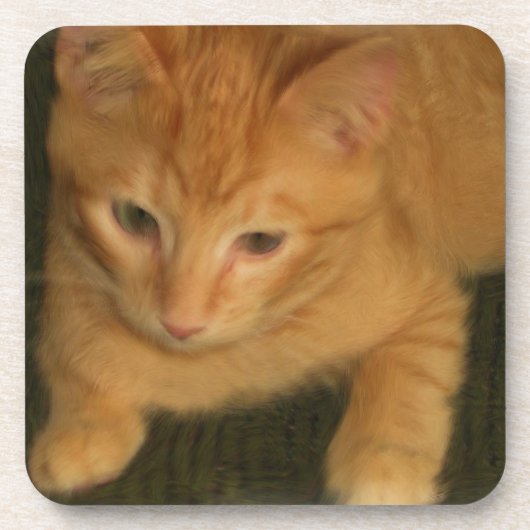 子猫コースター – 6のセット コースター (正面)