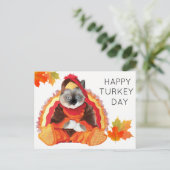 子猫サンクスギビング七面鳥の日葉書 シーズンポストカード (スタンド正面)