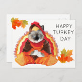 子猫サンクスギビング七面鳥の日葉書 シーズンポストカード (正面/裏面)