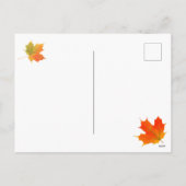 子猫サンクスギビング七面鳥の日葉書 シーズンポストカード (裏面)