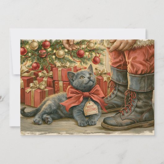 子猫サンタクロース クリスマス (正面)