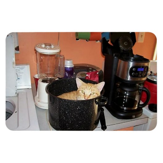 子猫シチュー マグネット (横)