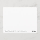 子猫ショップスーイ ポストカード (裏面)