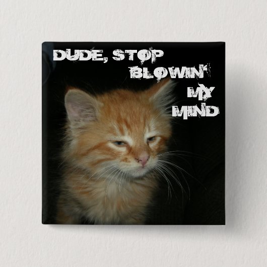 子猫ストップの「DUDE, BLOWIN' MY MIND」ボタン 缶バッジ (正面)