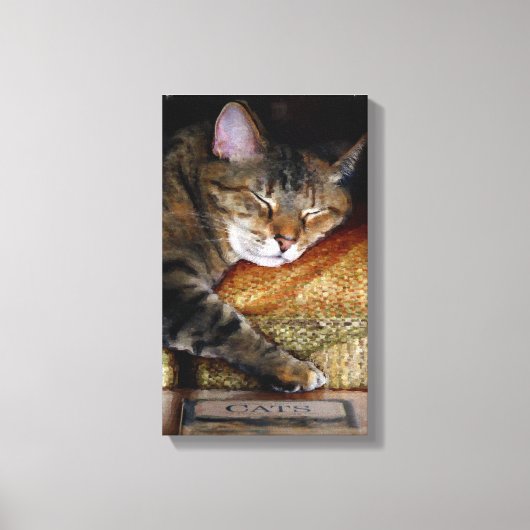 子猫スリーピーブック キャンバスプリント (正面)
