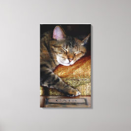 子猫スリーピーブック キャンバスプリント