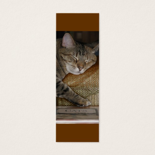 子猫スリーププロファイルカード (正面)