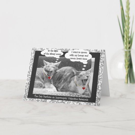 子猫セレナーデコンテンポラリーバレンタイン シーズンカード (正面)