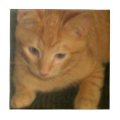 子猫タイル タイル (正面)