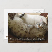 子猫チタン引用文 ポストカード (正面/裏面)
