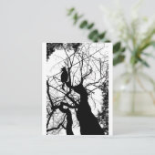 子猫ツリーシルエットB&W ポストカード (スタンド正面)