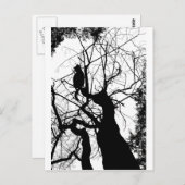 子猫ツリーシルエットB&W ポストカード (正面/裏面)