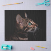 子猫ティッシュペーパー 薄葉紙 (クラフト)