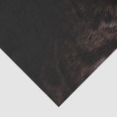 子猫ティッシュペーパー 薄葉紙 (詳細)