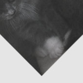 子猫ティッシュペーパー 薄葉紙 (詳細)