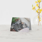 子猫ノートカード カード (黄色い花)