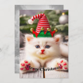 子猫ハッピーファーベビーホリデークリスマス (正面/裏面)