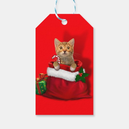 子猫バッグ ギフトタグ (裏面)