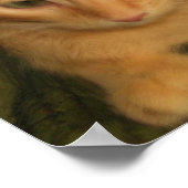 子猫フォトプリント ポスター (角)