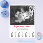 子猫フライヤー チラシ (シングル)